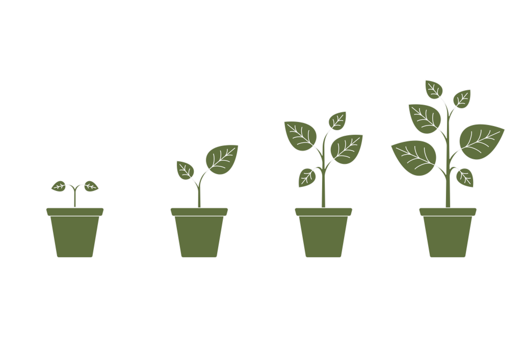 enviromentally friendly solar energy